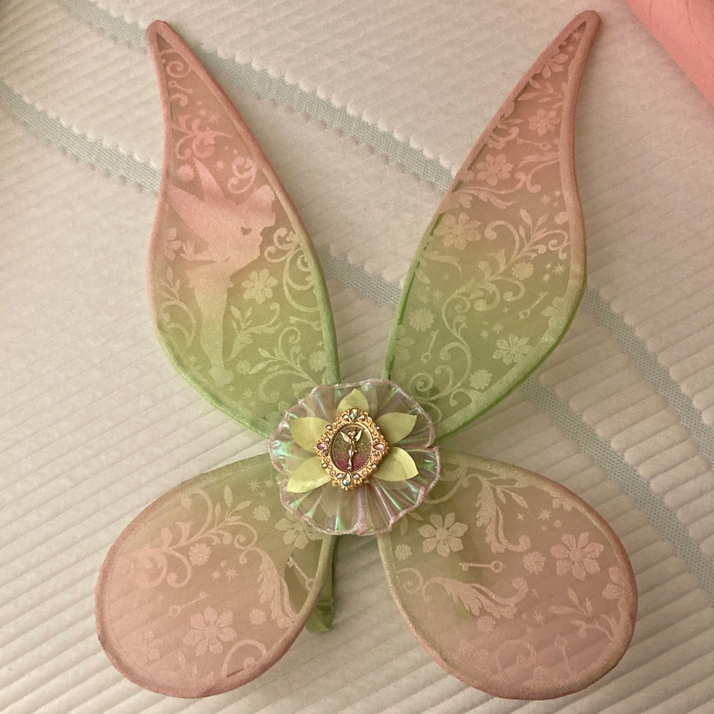 Pink and Green Tinkerbell Wings
